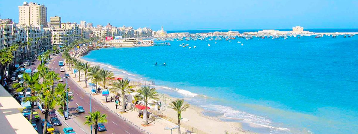 Qatar Airways Alexandria Office in Egypt