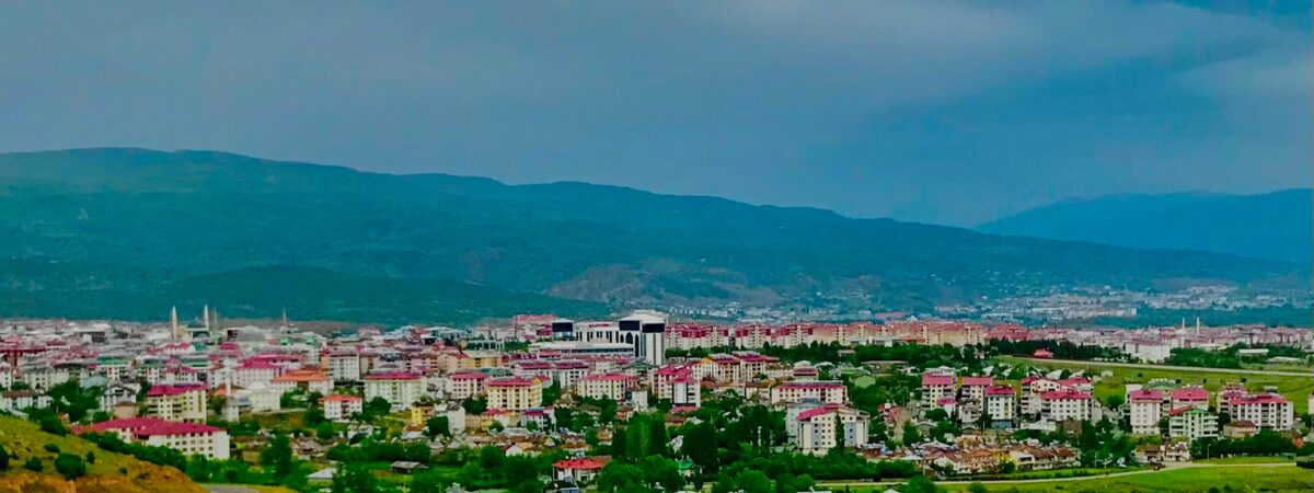 Turkish Airlines Bingol Office in Turkey