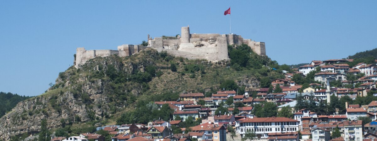 Turkish Airlines Kastamonu Office in Turkey