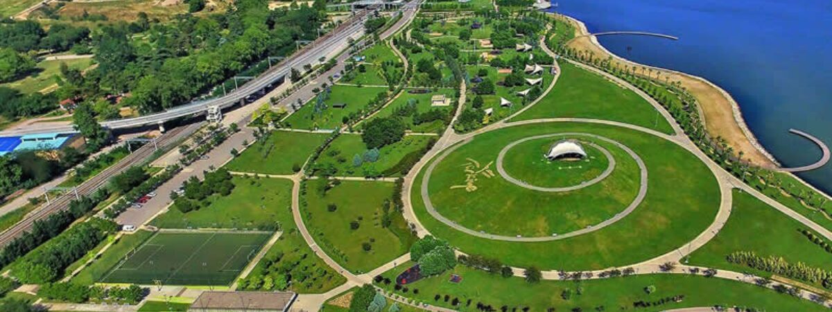Turkish Airlines Kocaeli Office in Turkey