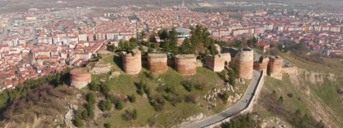 Turkish Airlines Kutahya Office in Turkey