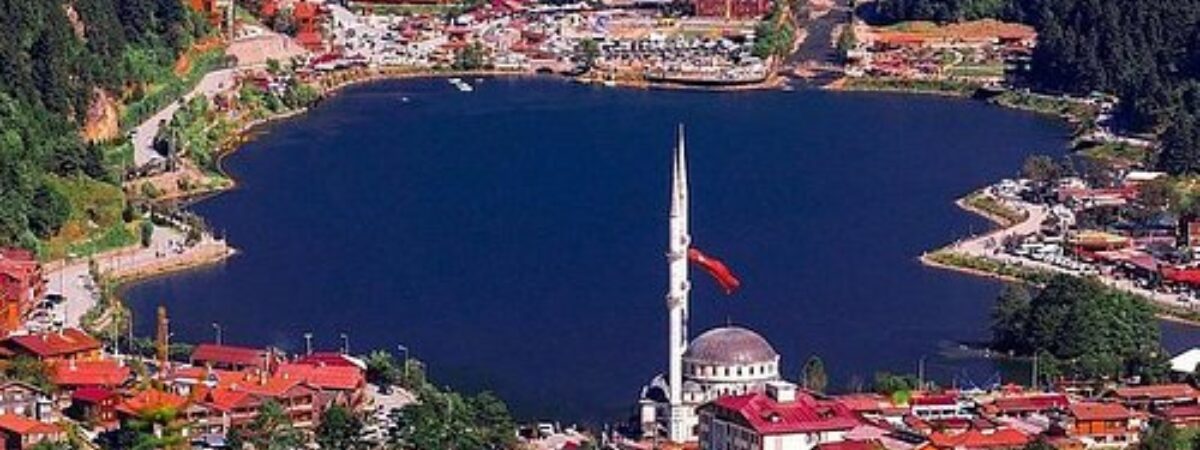 Turkish Airlines Trabzon Office in Turkey