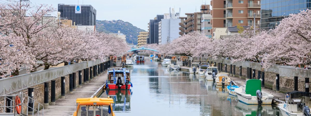 Japan Airlines Kochi Office in Japan