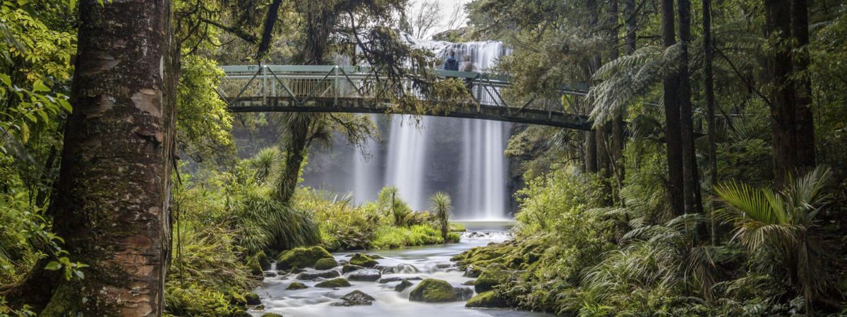 Air New Zealand Whangārei Office in New Zealand