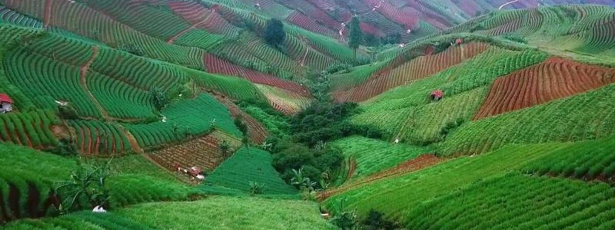 AirAsia Majalengka Office in Indonesia